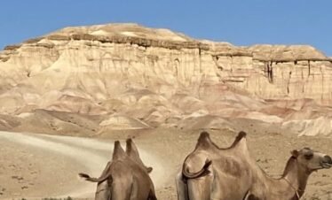 7-Day Gobi Desert Tour package